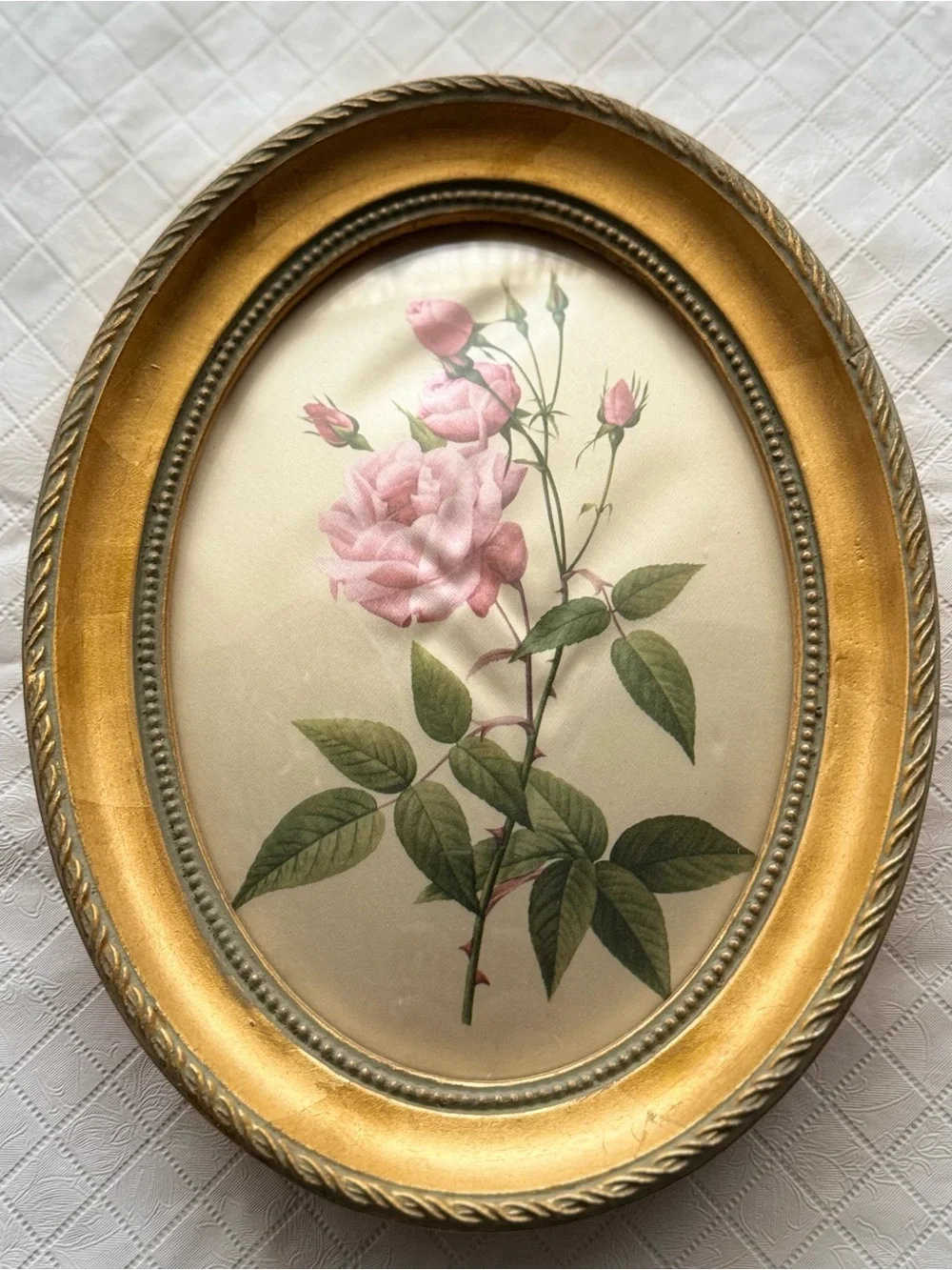 Oval Gold Framed Pink Rose Botanical Wall Art